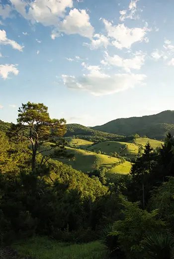 North East Tennessee